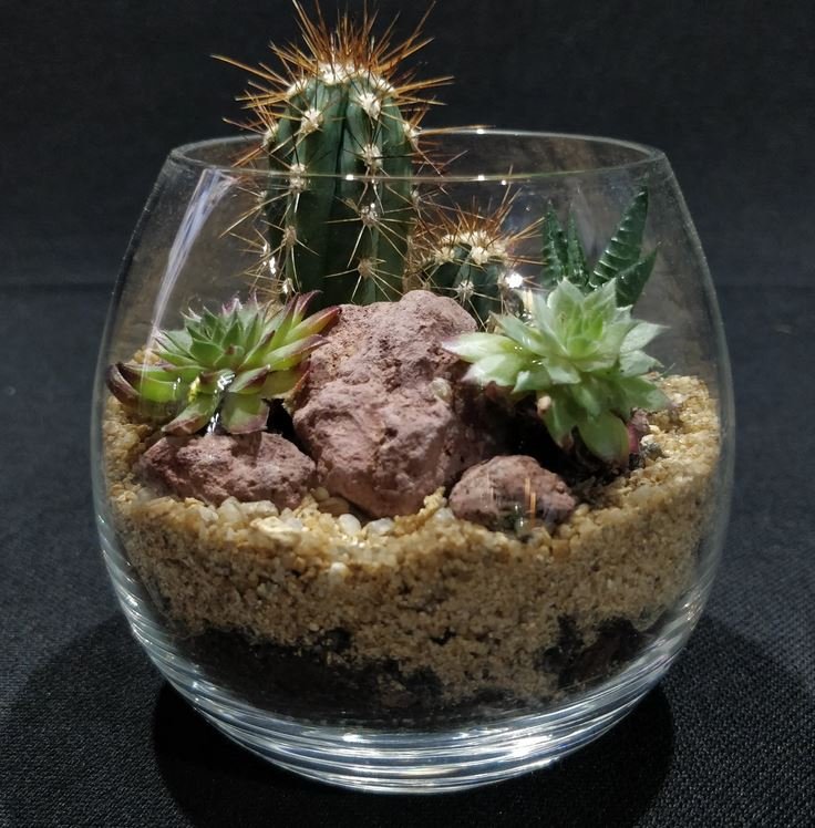 categoryplaceholder categoryplaceholder