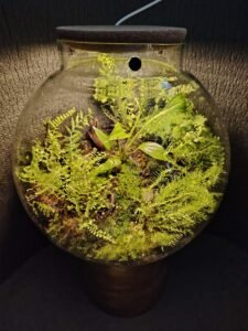 whatsapp image 2025 11 26 at 10.22.12 47f10aa7