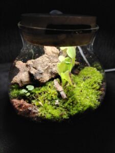 whatsapp image 2025 11 26 at 10.22.49 a647899b