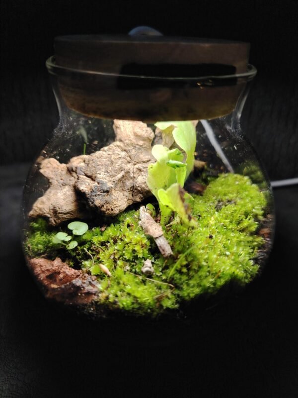 whatsapp image 2025 11 26 at 10.22.49 a647899b