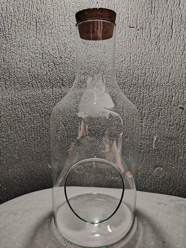 mini rond