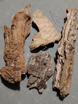 Écorce assortiment (x1)