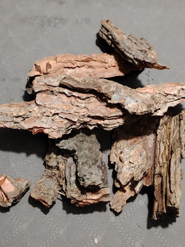 Écorce assortiment ultra (x1)