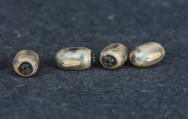 Myronides glaucus “peleng” oeuf x10